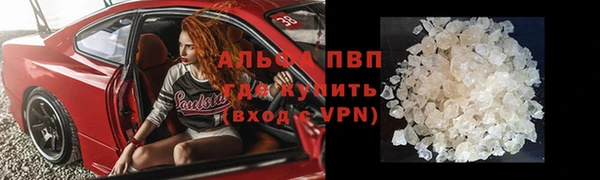 стафф Кинешма
