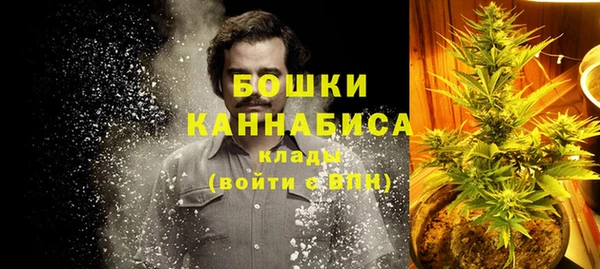 спайс Карпинск