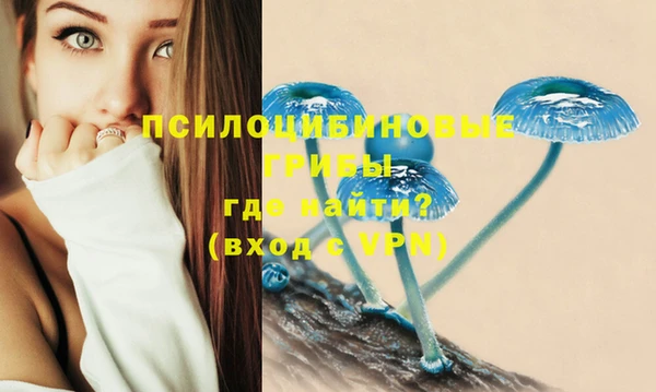 apvp Киренск