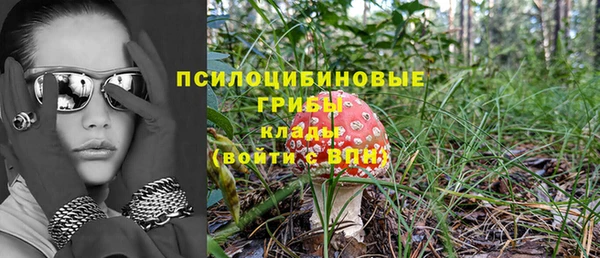 сатива Сосновка